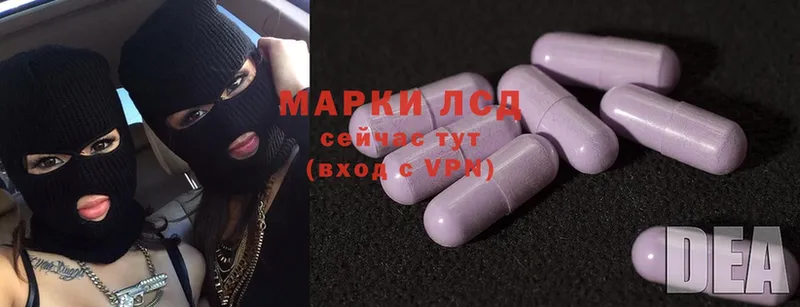 ЛСД экстази ecstasy  наркошоп  МЕГА   Оса 