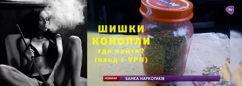 как найти наркотики  Оса  Конопля White Widow 